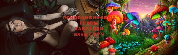 a pvp Камышин