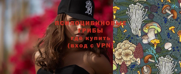соль ск Гусь-Хрустальный