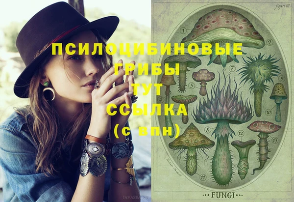 экстази Гусиноозёрск